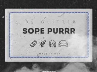 dj glitter sope purrr