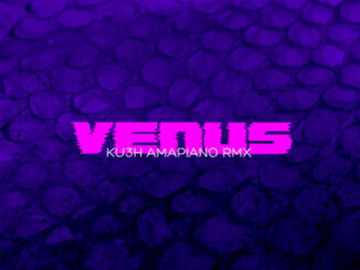 faceless ft. serotonin venus [ku3h amapiano remix]