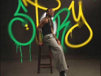 fireboy dml & take a daytrip story