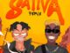 hydee flex & t dollar sativa (remix)