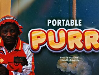 portable purr