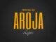 professional beat aroja