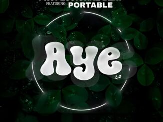 professional beat, portable aye (2.0)