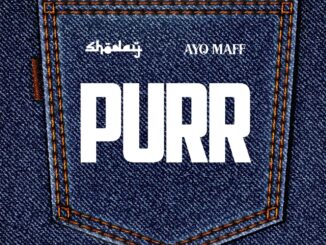 shoday ft. ayo maff purr