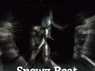 snowz beat ilu awon oku dance beat
