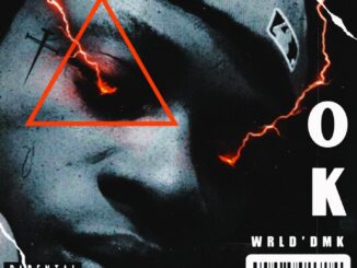 wrld’dmk – ok