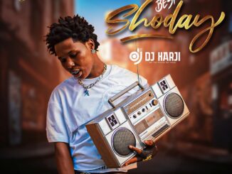 zagaempire x wf dj harji – best of shoday mix