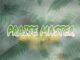 dj lekzy hip hop praise