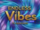 dj swagman endless vibes mara