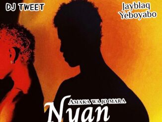 dj tweet ft. jayblaq yeboyabo nyan cruise beat