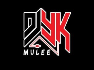 dj yk mule with you guitar