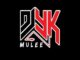 dj yk mule with you guitar