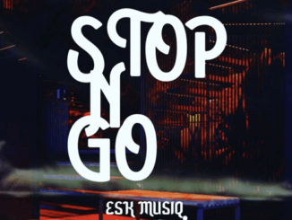 esk musiq stop n go