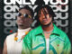 femi capless ft. terry apala only you (remix)