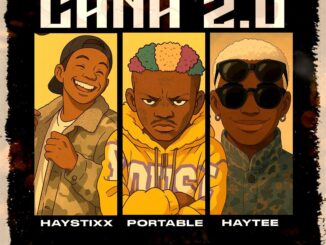 haystixx ft. portable & haytee cana (remix)