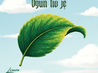 lemon adisa & wizka ogun tio je