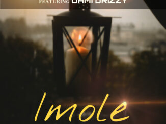 professional beat imole