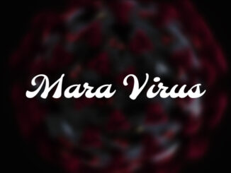 professional beat mara virus