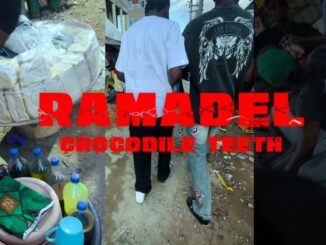 ramadel crocodile teeth