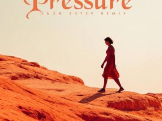 seyi vibez pressure (ku3h 3step remix)