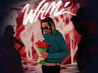 zayo ft.mayorkun wami