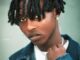 biography of midolee