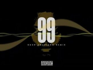 olamide, seyi vibez, asake, young jonn & daecolm 99 (ku3h amapiano remix)