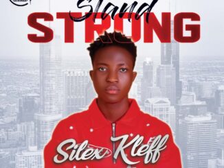 silex kleff stand strong